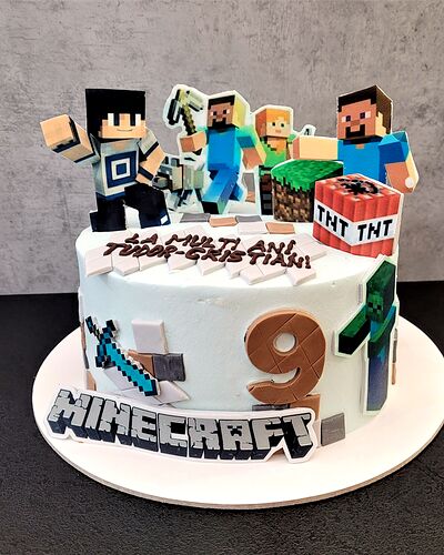 Tort cu tematică Minecraft, pentru o aniversare de 9 ani